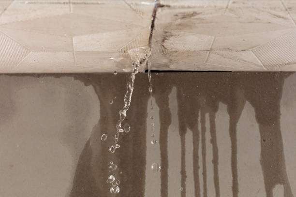 Professional Structural Drying technician working in Saint Clair, PA